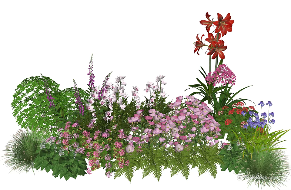 Colorful Garden Plant Combination With Red Blooms Pink Flowers Purple Blossoms And Ferns 3d model 