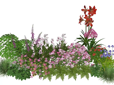 Colorful Garden Plant Combination With Red Blooms Pink Flowers Purple Blossoms And Ferns 3d model