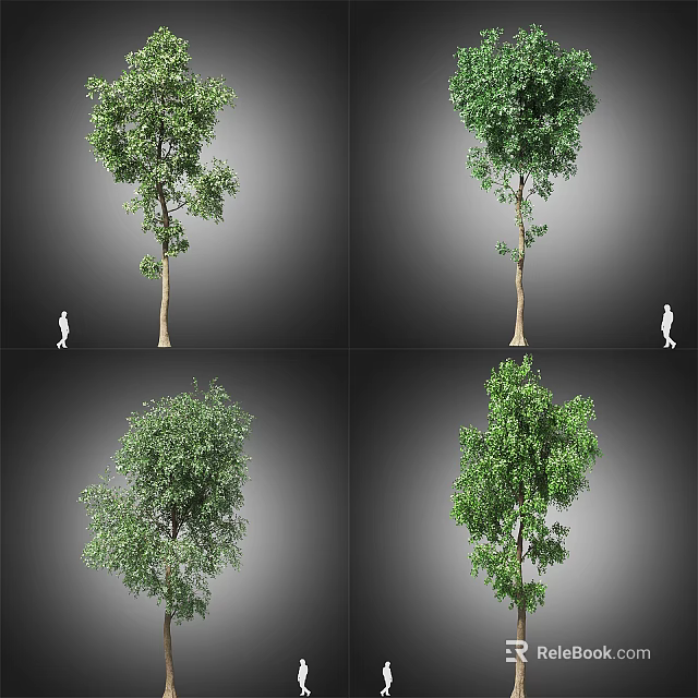 Arbor With Lush Green Foliage Shown In Multiple Angles With Human Figure For Scale 3d model
