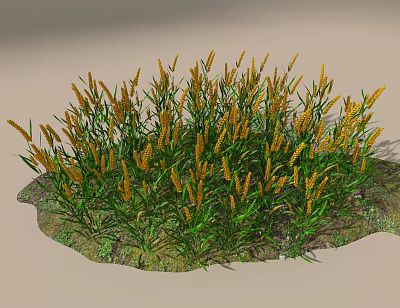 Clump of Yellow Grass Flowers with Green Leaves in Natural Setting 3d model