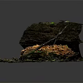 Natural Wooden Log Display With Stone Base And Orange Mushrooms On Textured Surface
