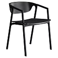 Modern Black Leisure Chair with Metal Frame and Comfortable Upholstered Seat Design