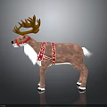 Standing Reindeer With Large Brown Antlers Red Harness White Chest And Tail Fur