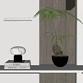 Elegant Bonsai Potted Plant On Wooden Shelf With Books And Marble Decor
