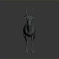 Standing Grey Antelope 3D Model With Long Curved Horns On Simple Background 3d model