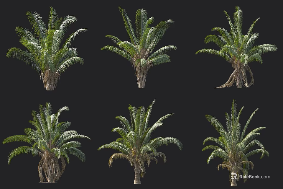 Trees In Various Types And Different Forms Isolated On Black Background With Green Foliage 3d model 