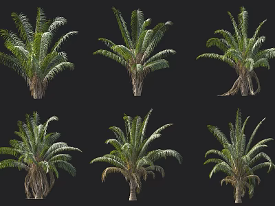 Trees In Various Types And Different Forms Isolated On Black Background With Green Foliage 3d model