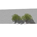 Two Green Arbor Trees Against Gray Wall With Stones In Front