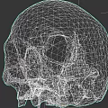 Detailed Ancient Human Skull With Cracked Surface And Brown Fossil Texture
