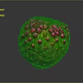 Vibrant Tropical Fruit With Green Textured Skin And Pink Protrusions On Dark Background