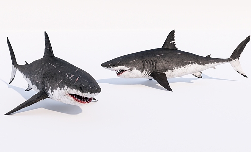 Modern Aquatic Animals Injured Sharks 3d model