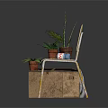 Yellow Velvet Chair Placed On Old Cardboard Box With Multiple Potted Plants