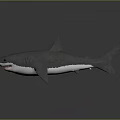 Gray Shark 3D Model with Open Mouth and Red Interior on Dark Background