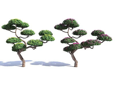 Decorative Arbor Trees With Curved Branches Green And Purple Foliage For Landscape 3d model