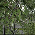Modern White Boutique Homestay Building With Large Windows Trees Courtyard And Outdoor Coffee Seating Area