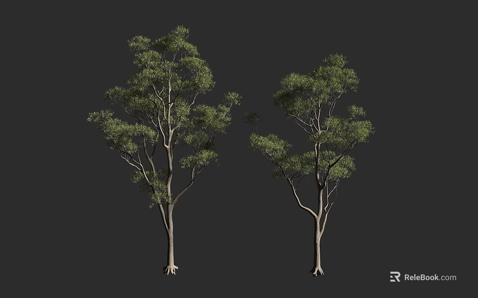 Two Arbor Trees With Green Leaves And Trunks Against Gray Background 3d model 