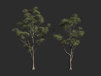 Two Arbor Trees With Green Leaves And Trunks Against Gray Background 3d model