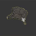 Cave Interior With Rocky Walls Sandy Ground Driftwood Branches And Animal Hide