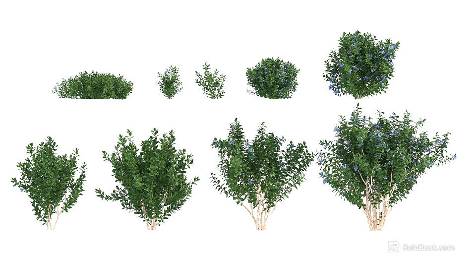 Various Types Of Flowering Shrubs With Green Foliage For Garden Landscaping 3d model 