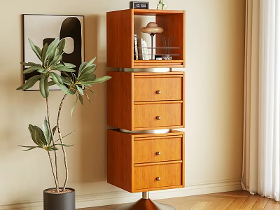 Modern Wooden Bookcase With Drawers Shelves And Potted Plant Near Light Wall 3d model