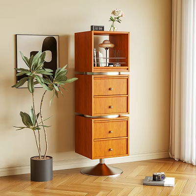 Modern Wooden Bookcase With Drawers Shelves And Potted Plant Near Light Wall 3d model