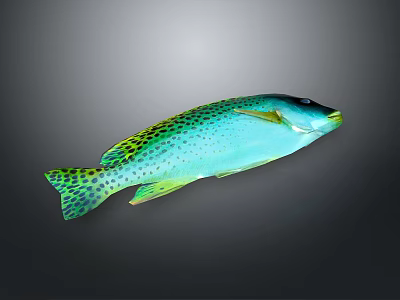 Vibrant Blue Green Aquatic Fish With Spotted Body And Yellow Fins 3d model
