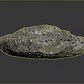 Natural Coral Marine Animal With Honeycomb Structure And Stone Like Texture