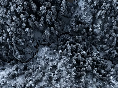 Microtopography In Snowy Forest With Snow Covered Trees And Undulating Terrain 3d model