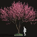 Pink Flowering Tree with White Base and Green Plants Near Human Figure Sculpture