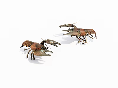 Two Brown Reptile Specimens With Large Claws And Segmented Bodies On White Surface 3d model