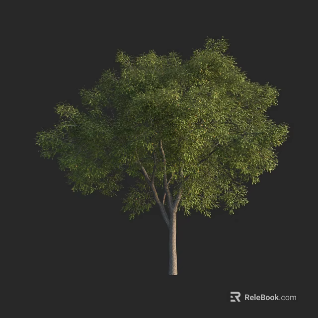 Lush Green Arbor with Dense Foliage and Strong Trunk in Natural Setting 3d model 