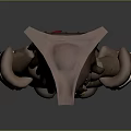 3D Pirate Character Model With Hat Long Hair Brown Coat And Boots