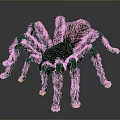 Realistic 3D Spider Model With Black Body Red Back And Orange Leg Tips