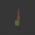 Landscaped Shrubs with Red Small Leaves on Green Grass Base Design