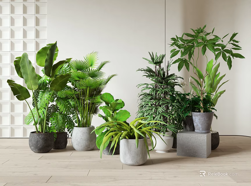 Various Indoor Potted Plants with Lush Green Foliage in Modern Pots on Wooden Floor 3d model 