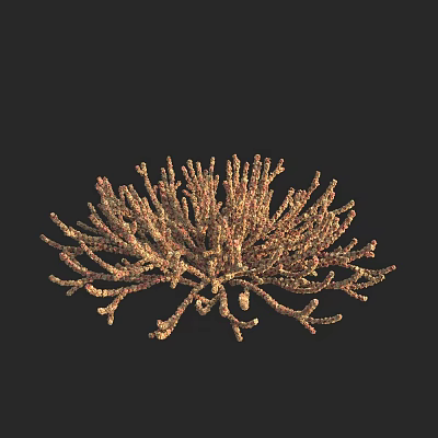 Modern salt grass 3d model Modern salt grass 3d model