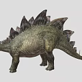 Stegosaurus Dinosaur 3D Model With Back Plates And Tail Spikes In Standing Pose 3d model