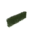 Decorative Greenery Plant Arrangement With 5 Elements Height 2.2m And Lush Leaves