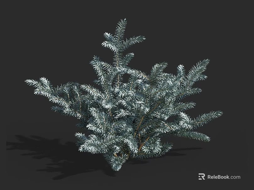 Lush Silver Green Shrub with Dense Branches and Vibrant Foliage in Natural Form 3d model 