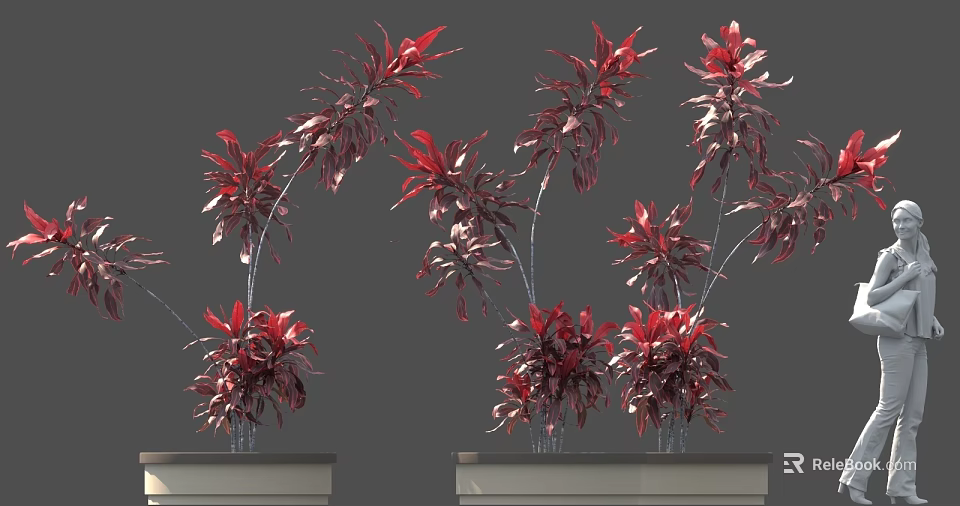 Multiple Red Leaf Decorative Plants In Potted Containers With Green Stems 3d model