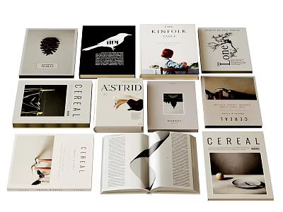 Stylish Cereal And Other Magazines With Diverse Cover Designs And Open Pages 3d model