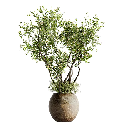 Artistic Bonsai Plant With Curved Branches And Lush Green Leaves In Stone Pot 3d model