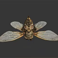 Detailed Cicada With Transparent Golden Edged Wings And Brown Body On Dark Background