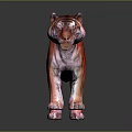 3D Rendered Red Tiger With Black Stripes On Gray Background And Reflective Floor
