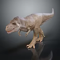 Realistic 3D Tyrannosaurus Rex Dinosaur Model With Sharp Teeth And Dark Background Reflection 3d model