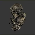Natural Organ And Hair Structure With Rough Surface And Irregular Protrusions