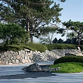 Urban Garden Landscape With Pine Trees Stone Walls Trimmed Hedges And Grass