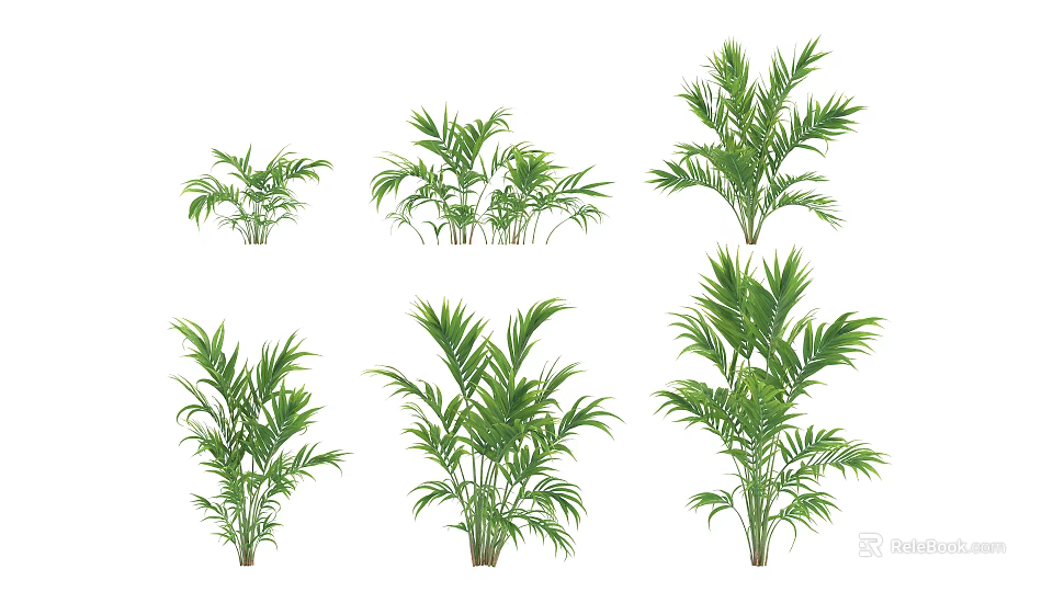 Green Tropical Shrubs With Lush Foliage In Various Sizes For Garden Decor 3d model 