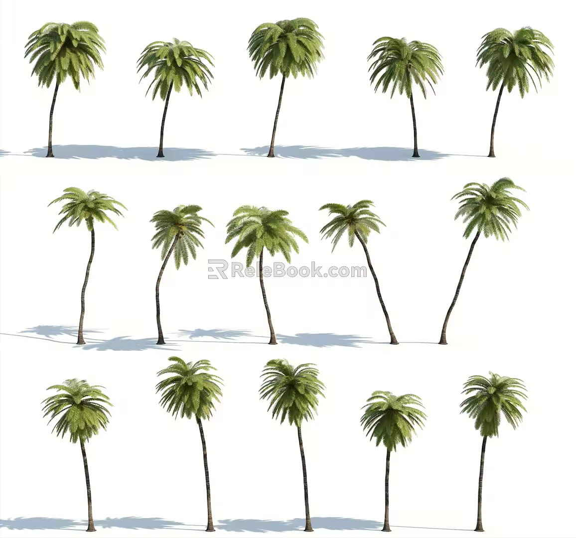 Modern Palm Tree 3d model