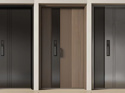 Display of Modern Security Doors With Various Designs Metal And Wood Grain Finishes 3d model